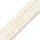 Bianco naturale perline shell fili SHEL-G014-14-1