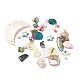 Mixed Style Natural Shell Pendants & Beads BSHE-XCP0001-05-1