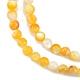 Fili di perline di conchiglia giallo dorato naturale SSHEL-G024-01A-3