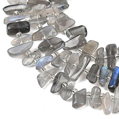 Природные лабрадорита бисер нитей&nbsp;G-C273-B01