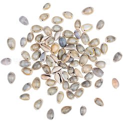 Соединения оболочки каури SSHEL-PH0002-45