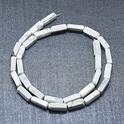 Природные Говлит бисер нитей G-F631-E10