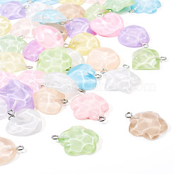 40шт 5 стиля подвески из полупрозрачной смолы&nbsp;RESI-TA0003-62