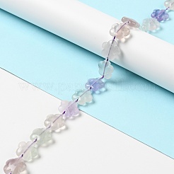 Perline fluorite naturale fili&nbsp;G-D475-02A