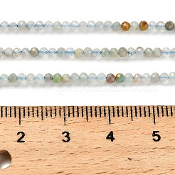 Натуральный цветок амазонитовые бусины пряди&nbsp;LS-G-RM2025-02B-2mm