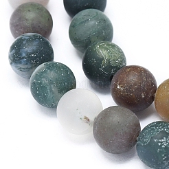 Природного индийского агата бисер нитей&nbsp;G-D0005-24-8mm