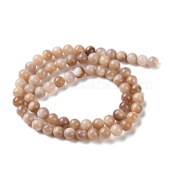 Натуральная розовая оболочка из бисера пряди SHEL-D002-A01-6mm