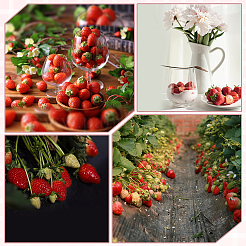 Украшения для выставки клубники из смолы&nbsp;DJEW-ME0001-03A