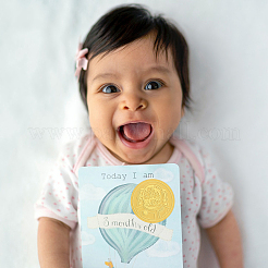 Пластиковые самоклеящиеся наклейки с тиснением из золотой фольги&nbsp;DIY-WH0211-159