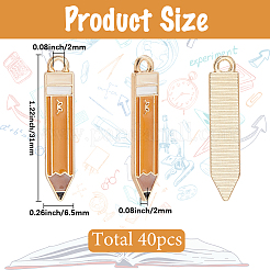 40 шт. Подвески из сплава с эмалью&nbsp;FIND-SC0015-81