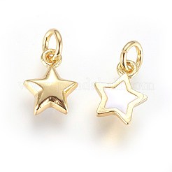 Эмаль латунные брелоки&nbsp;KK-G364-18G-01