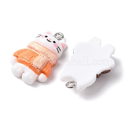 Подвески из непрозрачной смолы&nbsp;RESI-K051-01