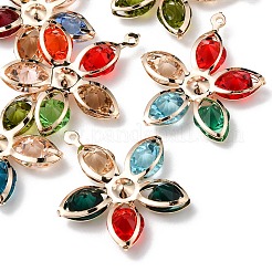 6 шт. IFIN-YW0001-51