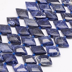 Natural Sodalite Beads Strands, Faceted Rhombus, 12~14x3~26x4~7mm, Hole: 1mm, about 23pcs/strand, 15.3 inch~15.9 inch(39~40.5cm)