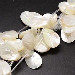 Natural Trochid Shell/Trochus Shell Beads Strands, Top Drilled Beads, Teardrop, Creamy White, 25x18x3~5mm, Hole: 1mm, about 10pcs/strand, 14.96 inch