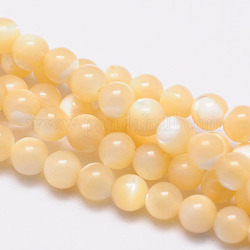 Chapelets de perles rondes en coquillage naturel, 4mm, Trou: 1mm, Environ 108 pcs/chapelet, 15.5 pouce