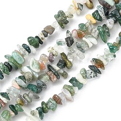 Perles en pierres gemme, naturel agate indienne, pépites, environ 3~5 mm de large, Longueur 3~5mm, Trou: 1mm, 34 pouce de long