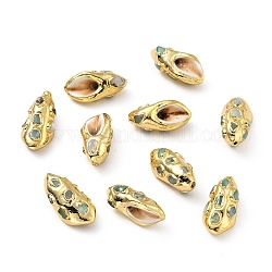 Muschel perlen, mit Messing-Zubehör, langlebig plattiert, Tritonshorn, golden, 22~23.5x11~12x8~10.5 mm, Bohrung: 1 mm