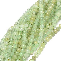 Chapelets de perles en préhnite naturelle, ronde, 6~6.5mm, Trou: 0.8mm, Environ 66 pcs/chapelet, 15.55 pouce (39.5 cm)