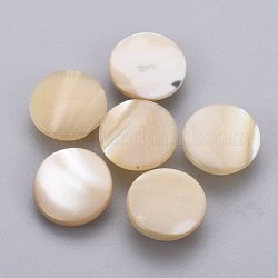 Trochus Shell Shank Buttons, Flat Round, Wheat, 11.5x5mm, Hole: 1.5mm