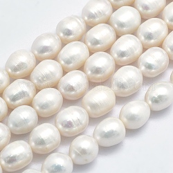 Hebras de perlas de agua dulce cultivadas naturales, arroz, whitesmoke, 9~11x8.5~9mm, agujero: 0.8 mm, aproximamente 32 pcs / cadena, 13.78 pulgada