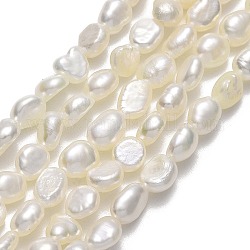 Fili di perle di perle d'acqua dolce coltivate naturali, due lati lucido, biancheria, 5~6x4x2.5~3mm, Foro: 0.6 mm, circa 65~72pcs/filo, 14.57'' (37 cm)