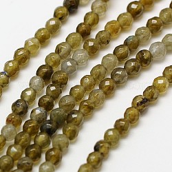 Natural Labradorite Beads Strands, Faceted Round, 3mm, Hole: 0.8mm, about 126pcs/strand, 15.1 inch