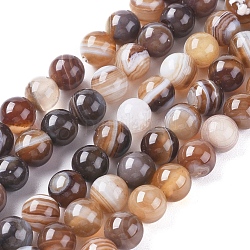 Chapelets de perles en agate à rayures naturelles/agates à bandes, teints et chauffée, ronde, Sienna, 6mm, Trou: 1mm, Environ 63 pcs/chapelet, 14.57 pouce (37 cm)