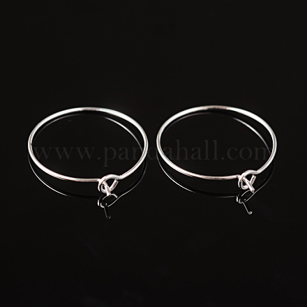 Silver Color Plated Brass Earring Hoops X-EC067-1S-1