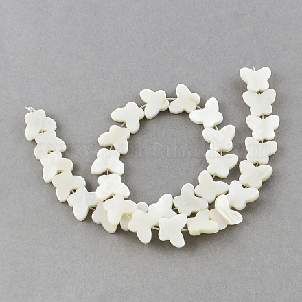 Chapelets de perles en coquillage naturel X-SSHEL-Q296-38-1