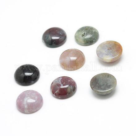 Natural Indian Agate Gemstone Cabochons G-T020-20mm-23-1