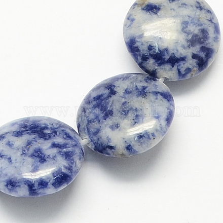 Brins de perles de jaspe de tache bleue naturelle X-G-S110-13-1