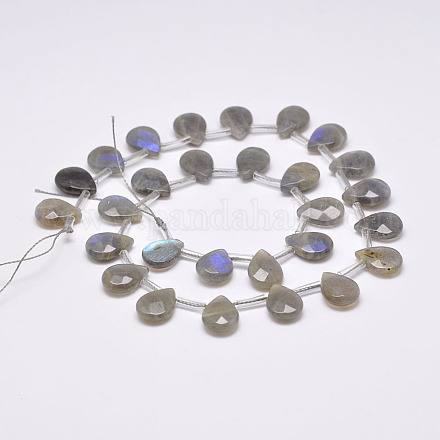 Chapelets de perles en labradorite naturelle  G-D864-12B-1