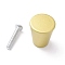 Zinc Alloy Circular Cone Shape Cabinet Door Knobs, Kitchen Drawer Pulls Cabinet Handles, with Iron Screws, for Dresser Drawers, Matte Gold Color, 23x20mm, Hole: 4mm