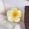 Two Tone Plastic Claw Hair Clips, Flower, Yellow, 77x77mm