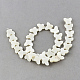 Natural Sea Shell Beads Strands X-SSHEL-Q296-38-1