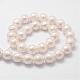 Chapelets de perles en coquille BSHE-L029-01-14mm-2