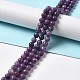 Natural Lepidolite/Purple Mica Stone Beads Strands G-B029-B03-02-4