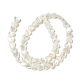 Guscio bianco naturale madreperla perle di conchiglia BSHE-B005-10-2