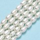 Natural Cultured Freshwater Pearl Beads Strands PEAR-J006-10B-01-2