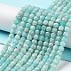Natural Amazonite Beads Strands G-J400-A07-03-2