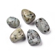 5 pièces perles de jaspe sésame naturel/jaspe kiwi G-FS0001-97-1