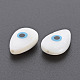 Perles de coquillages naturels d'eau douce SHEL-Q008-62B-4