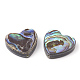 Perles coquille d'ormeau / coquille de paua X-SHEL-T005-01-2