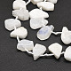 Brins de perles de pierre de lune arc-en-ciel naturel G-E569-R01-3