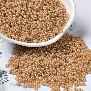 Выпечка краска стеклянные бусины SEED-P006-03A-24