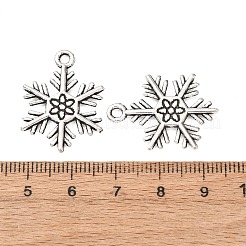 Tibetischer stil Aluminium Anhänger & Charms&nbsp;TIBEP-3264-AS-RS