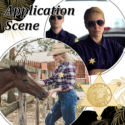 12 шт. 2-цветные пластиковые кабошоны в форме гексаграммы AJEW-MA0001-17