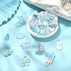 30шт 10 стиля подвески из непрозрачной и прозрачной смолы&nbsp;RESI-CJ0003-02