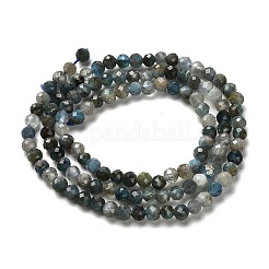 Природного апатита нитей бисера G-RM2025-A18-3mm-B